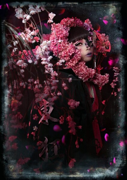 Photograph Clam Noise Sakura on One Eyeland